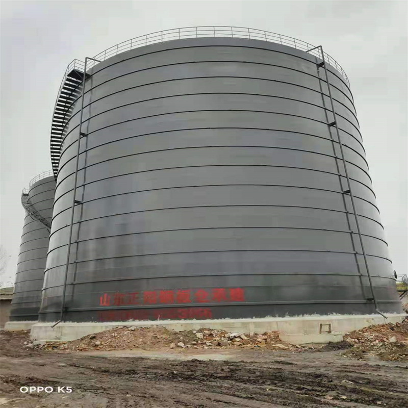 蒸湘3万吨大型钢板库