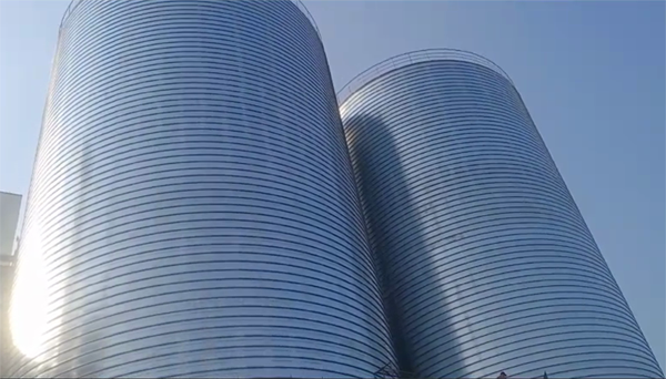 蒸湘2座混凝土高架卷板仓